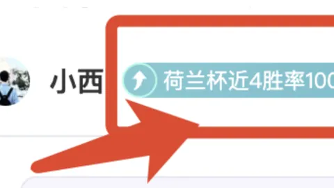 霍奇森病情好转，水晶宫迎来新纪元