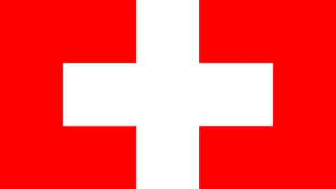 “忽视惊艳容颜，却专注探究他人腿部神秘紫条之谜！”